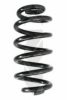 SPIDAN 86597 Coil Spring